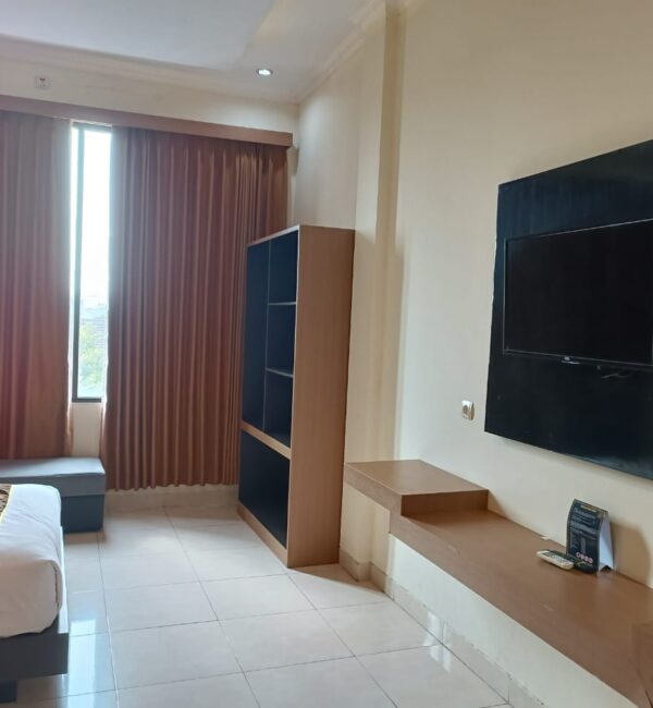 Deluxe Room – tv