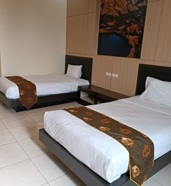Deluxe Room twin