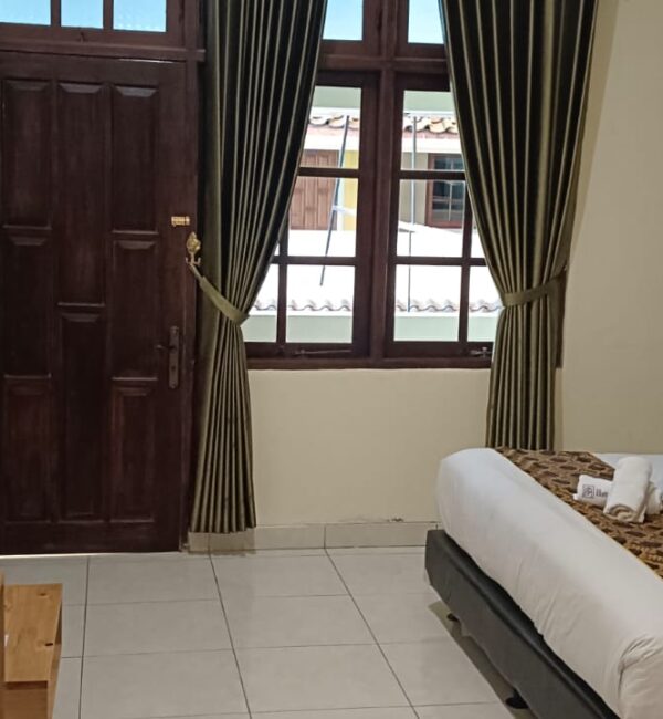 Standard Room windows