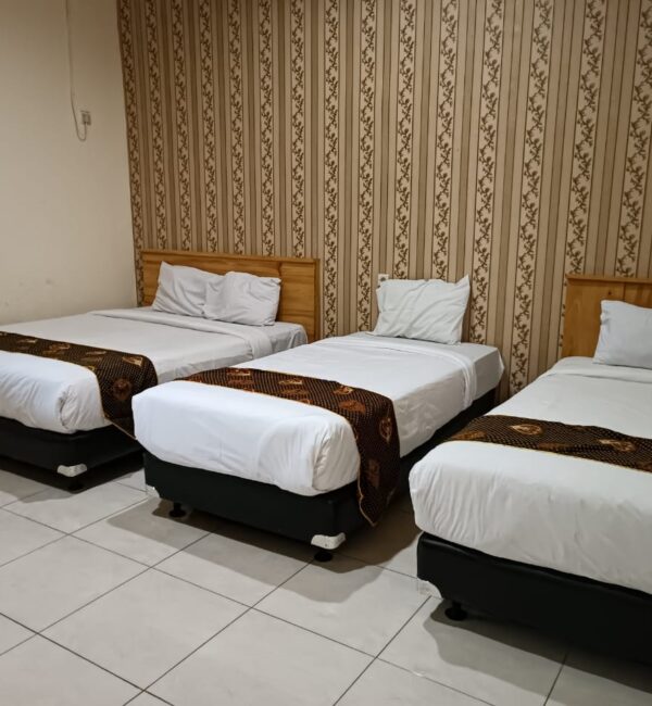 family room shafira